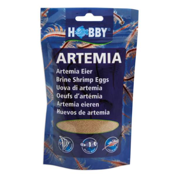 Artemia Eier